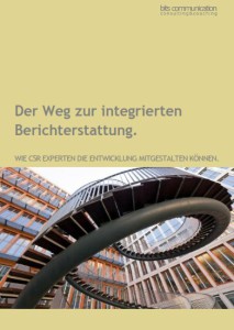 Integrierte Berichterstattung, integrated reporting