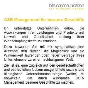 csr management consulting