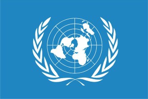 Menschenrechts-Berichterstattung stärkt Umsetzung der UN-Leitprinzipien für Wirtschaft und Menschenrechte