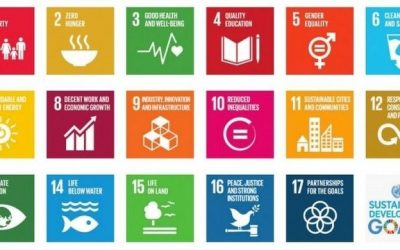 SDGs 2030 – Wie Unternehmen Ihren Beitrag leisten können